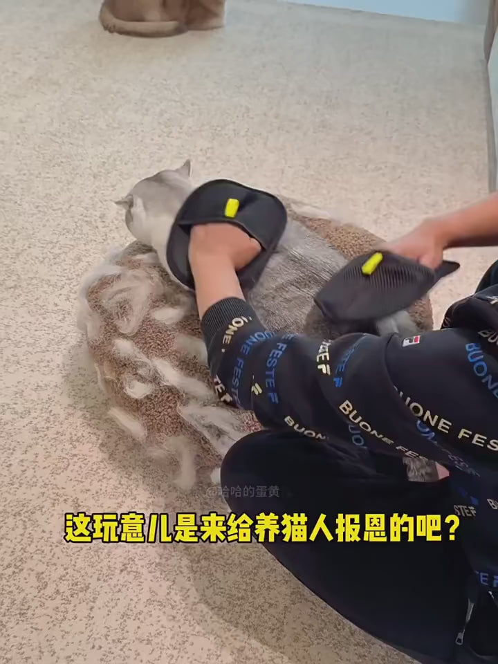 Pet Hair Everywhere? Gone in Seconds.